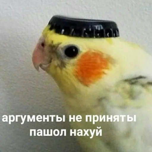 🦜 Стикер «НслчйВжнхПргврв» для Telegram