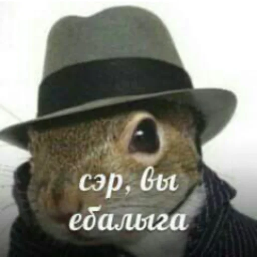 🐿 Стикер «НслчйВжнхПргврв» для Telegram