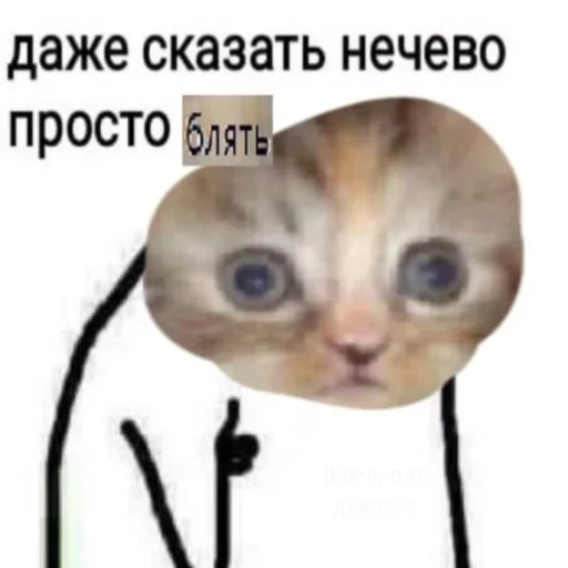 👍 Стикер «НслчйВжнхПргврв» для Telegram