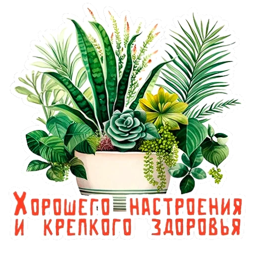 🪴 Стикер «НА УДАЧУ» для Telegram