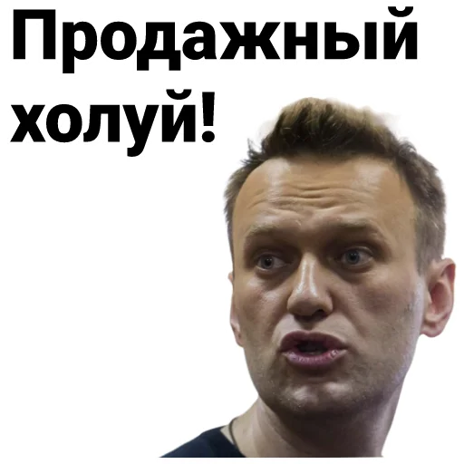 🤬 Стикер «Navalny» для Telegram