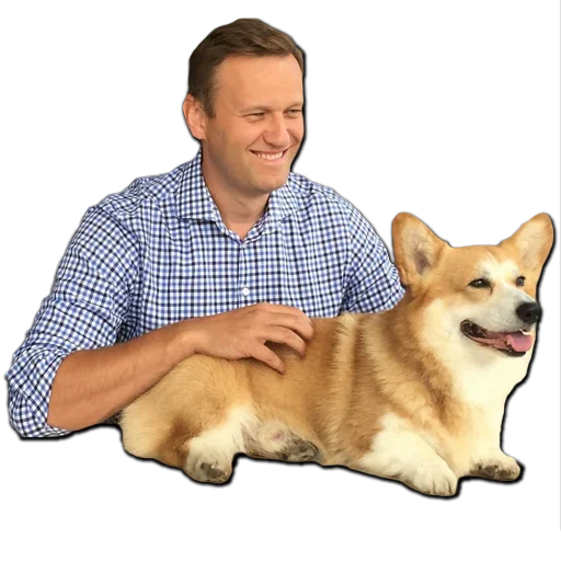 🐶 Стикер «НАВАЛЬНЫЙ» для Telegram