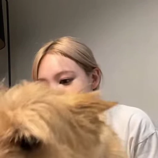 🐰 Стикер «nayeon» для Telegram