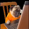 Стикер 30 Trends #memes #animals
