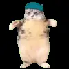 Стикер 42 Trends #memes #animals