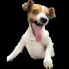 Стикер 39 Trends #memes #animals