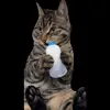 🐈 Эмодзи «Trends #memes #animals» для Telegram