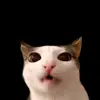 Стикер 54 Trends #memes #animals
