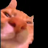 Стикер 31 Trends #memes #animals