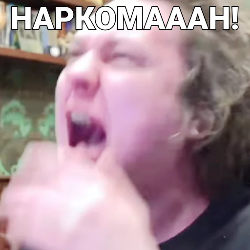 🤨 Стикер «ПЕЧЕНЬ_ХОВЫ» для Telegram