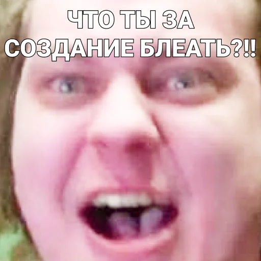 🥶 Стикер «ПЕЧЕНЬ_ХОВЫ» для Telegram