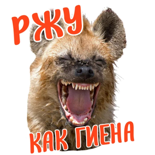 Стикерпак Ne ODNA для Telegram — скачать