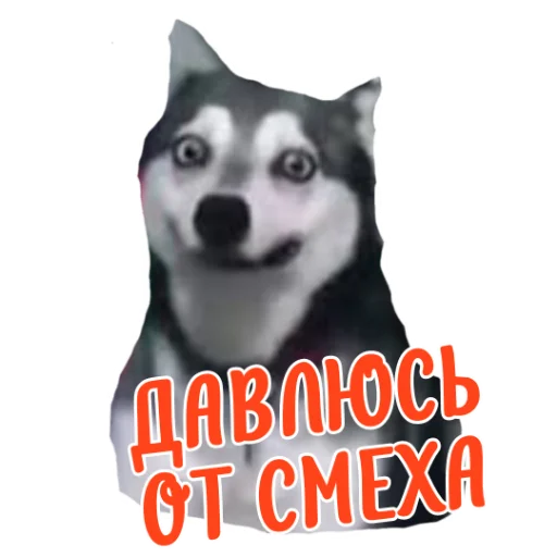👍 Стикер «Ne ODNA» для Telegram