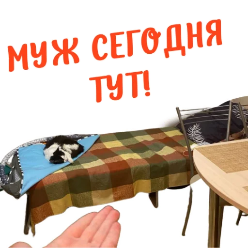 👍 Стикер «Ne ODNA» для Telegram