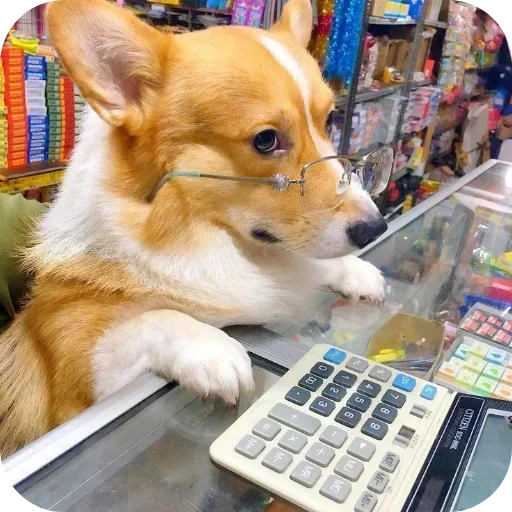 🐶 Стикер «Не знаю как назвать его» для Telegram