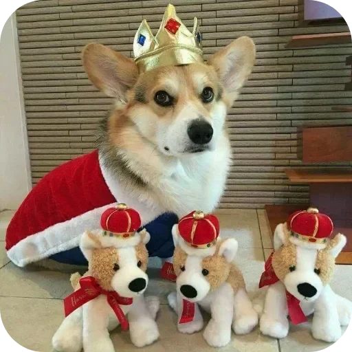 🐶 Стикер «Не знаю как назвать его» для Telegram