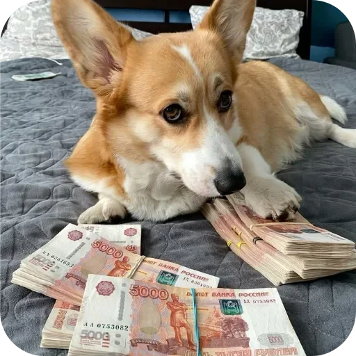 🐶 Стикер «Не знаю как назвать его» для Telegram