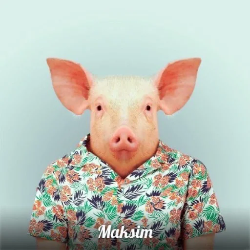 🐽 Стикер «Киберсосалка» для Telegram