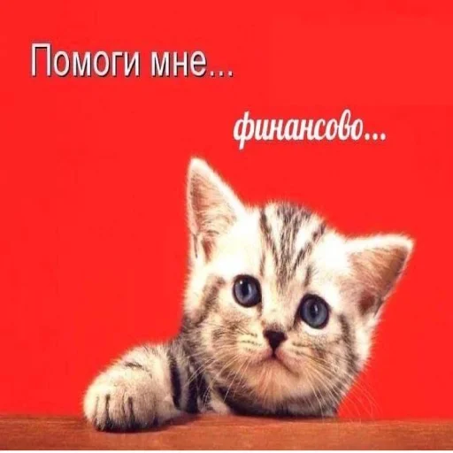 🆘 Стикер «А ВЫ ЗНАЛИ?» для Telegram