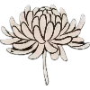 Стикер 37 Нежно И Хрупко