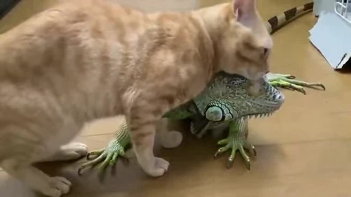 🦎 Стикер «ねこぱら» для Telegram