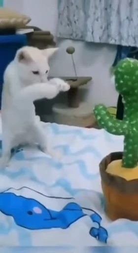 🐱 Стикер «ねこぱら» для Telegram