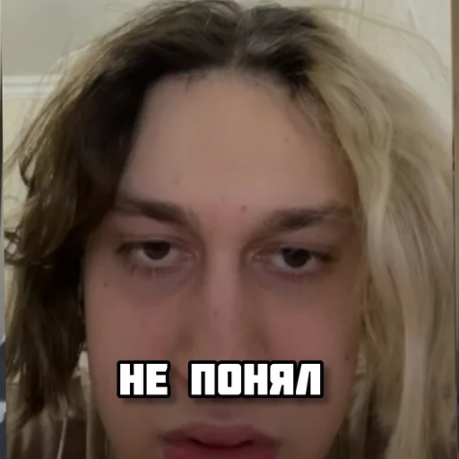🧐 Стикер «nekoglai» для Telegram