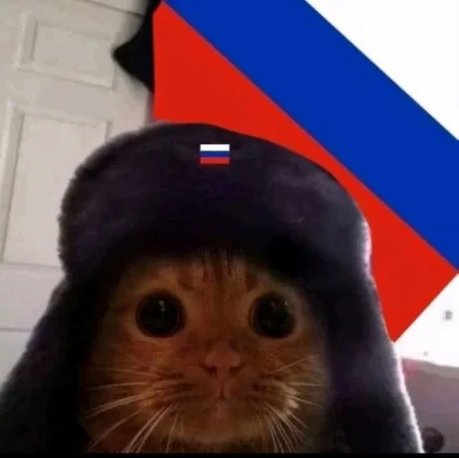 🤩 Стикер «nekonano» для Telegram