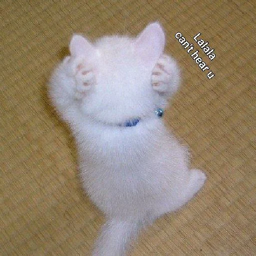🙉 Стикер «Meow 2» для Telegram