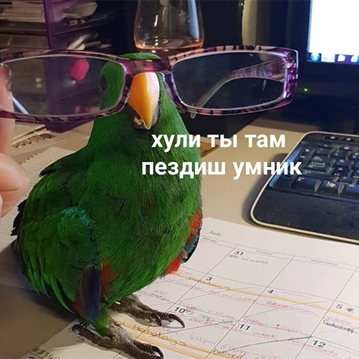 😶 Стикер «Стики которые мы заслужили» для Telegram