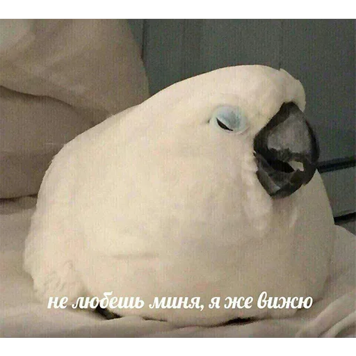 😞 Стикер «Стики которые мы заслужили» для Telegram