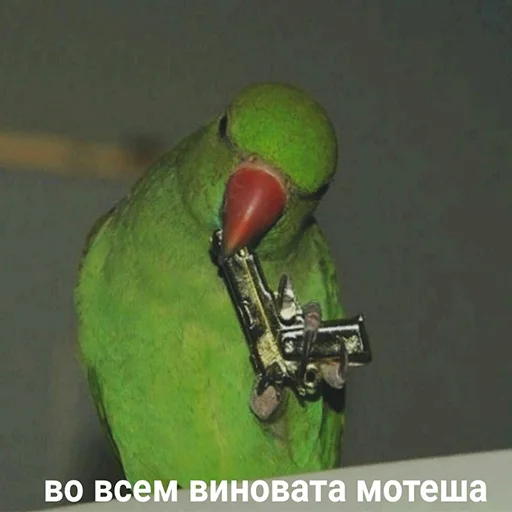 🔫 Стикер «Стики которые мы заслужили» для Telegram