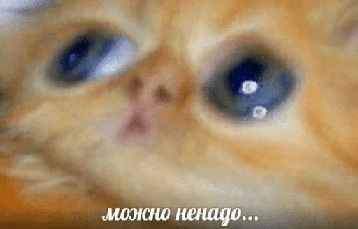 😣 Стикер «Стики которые мы заслужили» для Telegram