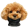 🐕 Эмодзи «NEW YEAR 2026» для Telegram