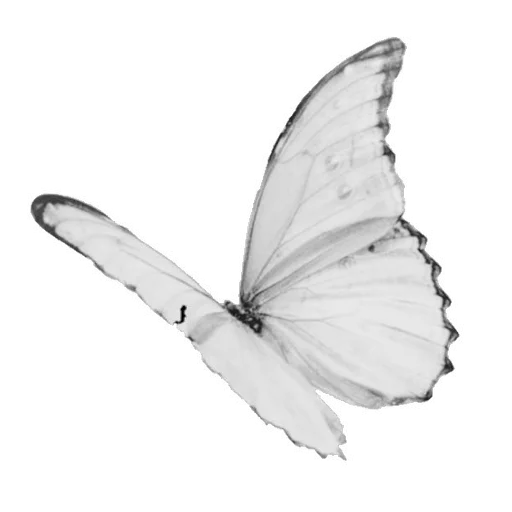🌟 Стикер «light paradise» для Telegram