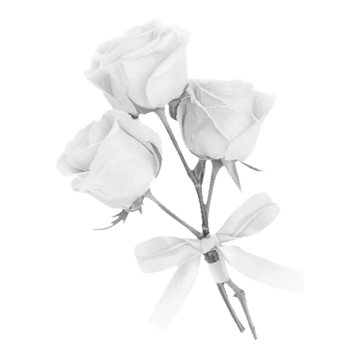🌟 Стикер «light paradise» для Telegram