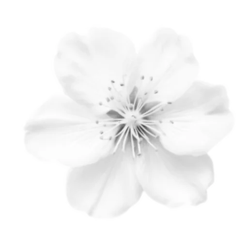 🌟 Стикер «light paradise» для Telegram