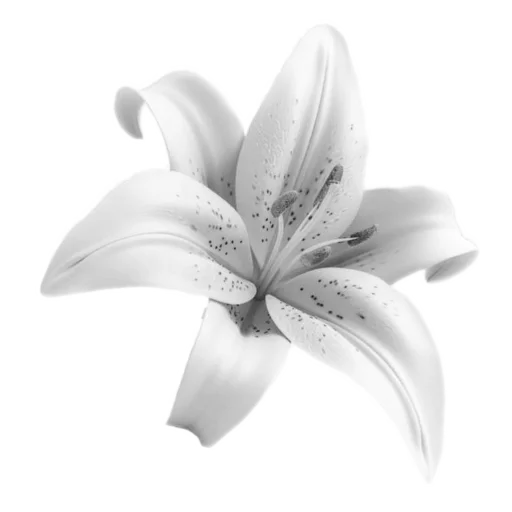 🌟 Стикер «light paradise» для Telegram