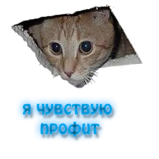 😱 Стикер «NelyubimovTeam» для Telegram