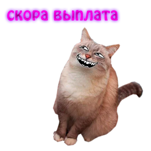 😄 Стикер «NelyubimovTeam» для Telegram