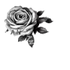 Стикер 21 Doomsday Angels