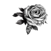 Стикер 19 Doomsday Angels