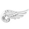 Стикер 5 Angels Of Genesis