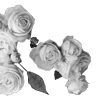 Стикер 4 Lacewoven Oleander