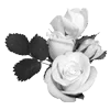 Стикер 59 Lacewoven Oleander