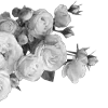 Стикер 6 Lacewoven Oleander