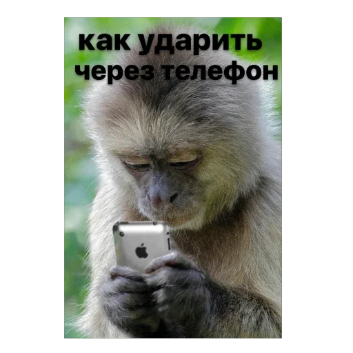 🫥 Стикер «nemoschi ed 778» для Telegram