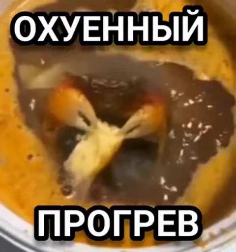 🤩 Стикер «nemoschi ed 778» для Telegram