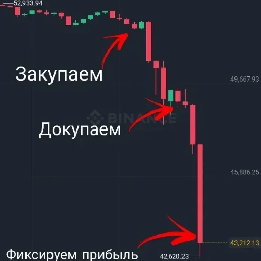 ❕ Стикер «nemoschi ed 778» для Telegram
