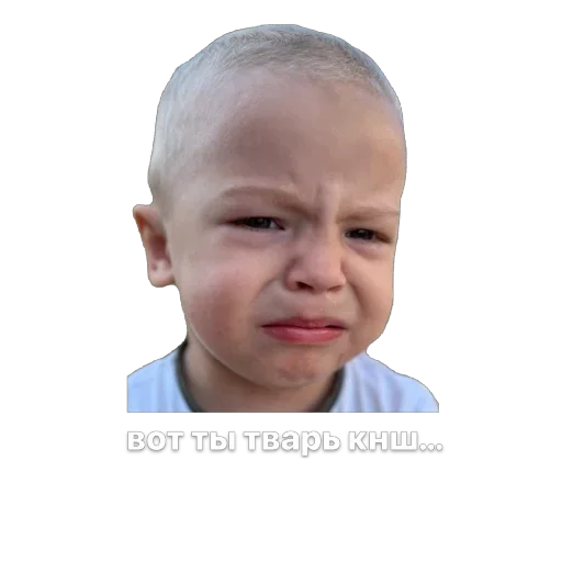 🫥 Стикер «nemoschi ed 778» для Telegram